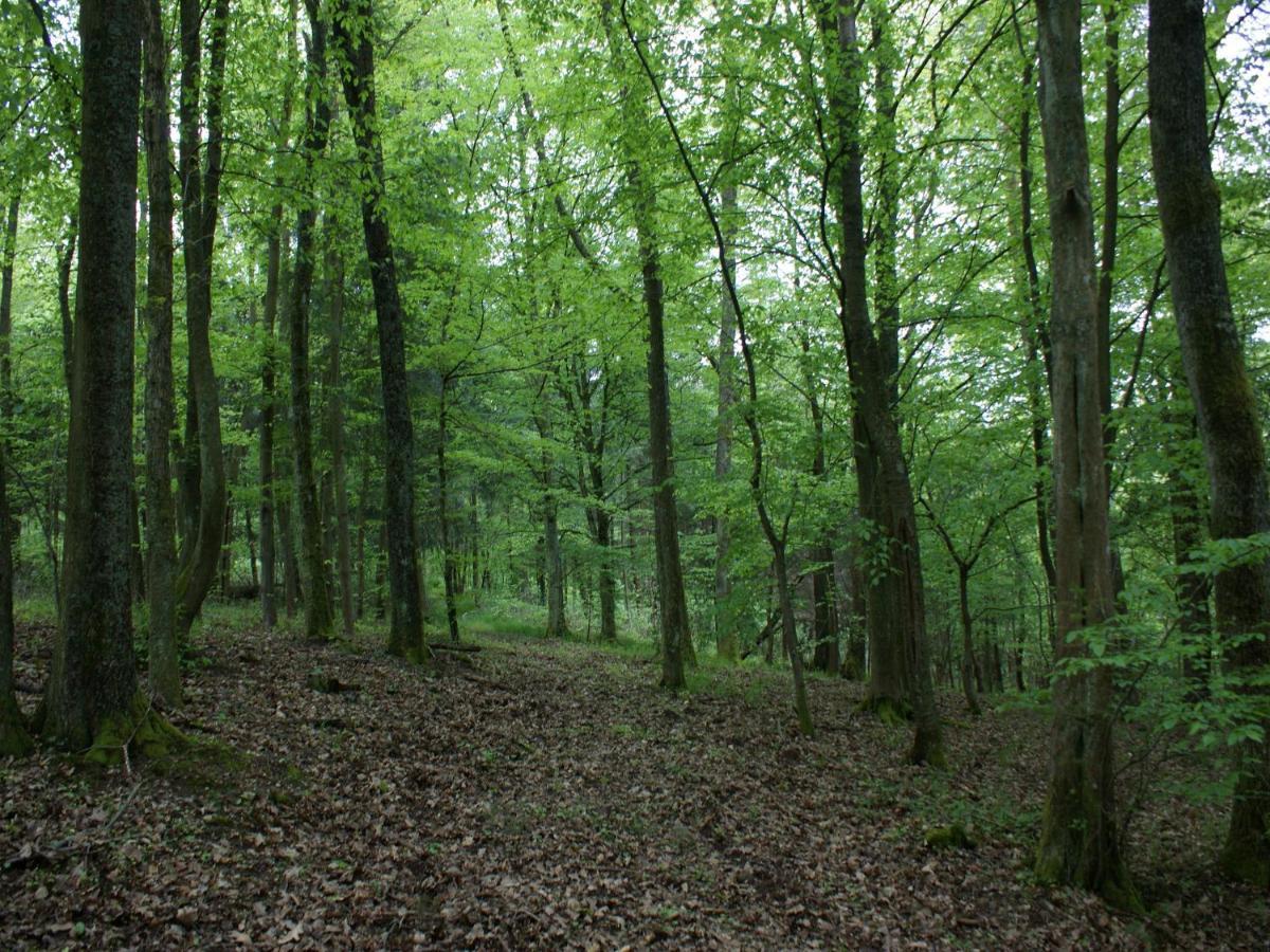 L'Ermitage Du Rebberg Villa Urmatt Екстериор снимка